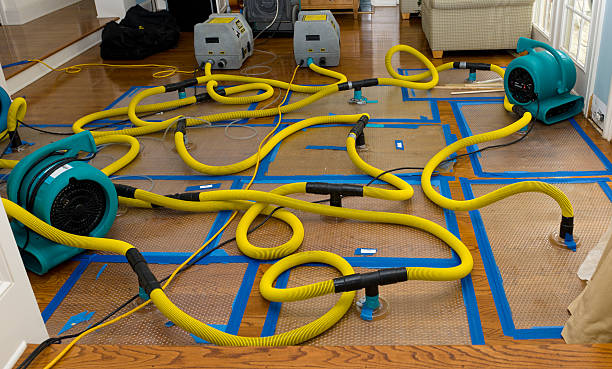 Professional Water Damage Repair technician working in Pearl River, MS